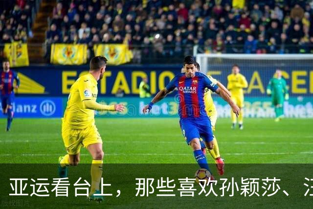 亚运看台上，那些喜欢孙颖莎、汪顺的外国粉丝们