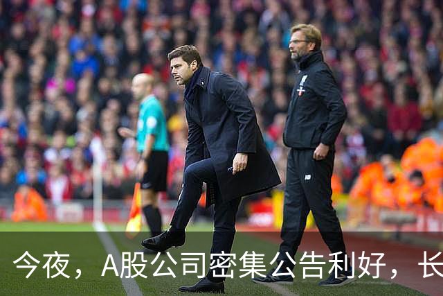 今夜，A股公司密集公告利好，长鑫科技预计9个月暴赚超1300亿
