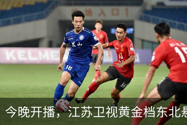 今晚开播，江苏卫视黄金档东北悬疑大剧来袭！阵容强大，值得一看