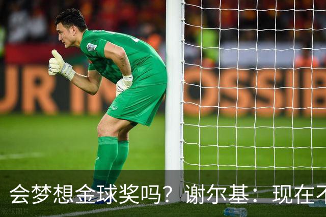 会梦想金球奖吗？谢尔基：现在不会，我不搞政治只想做我自己