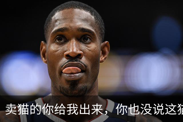 卖猫的你给我出来，你也没说这猫能长这么大啊