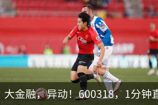 大金融，异动！600318，1分钟直线涨停