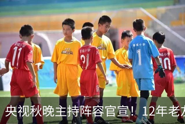 央视秋晚主持阵容官宣！12年老友回归，阵容稳妥却难获年轻人青睐