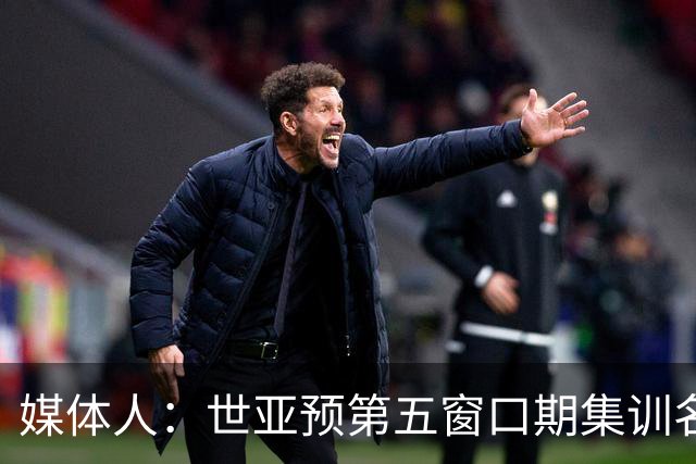 媒体人：世亚预第五窗口期集训名单已定，祝福他们