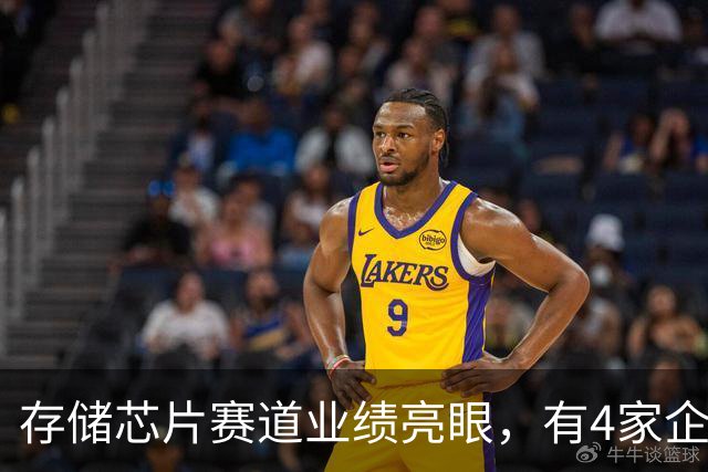存储芯片赛道业绩亮眼，有4家企业跻身2026半年报归母净利润百强