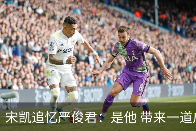 宋凯追忆严俊君：是他 带来一道启蒙的光亮