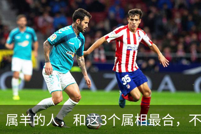 属羊的人，和这3个属相最合，不是迷信，是性格决定的