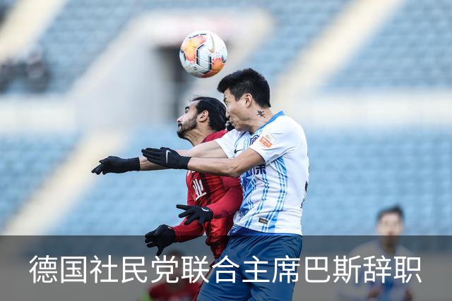 德国社民党联合主席巴斯辞职