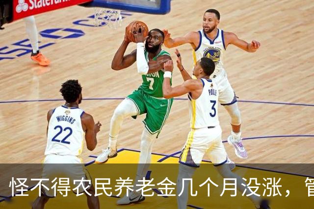 怪不得农民养老金几个月没涨，管理养老金的原副理事长被查
