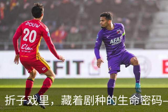 折子戏里，藏着剧种的生命密码——从四折南方经典折子戏看戏曲传承之道