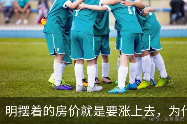 明摆着的房价就是要涨上去，为什么很多人还是不太相信呢？