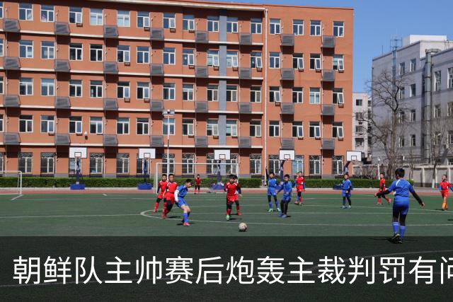 朝鲜队主帅赛后炮轰主裁判罚有问题 拒绝回答日本记者提问