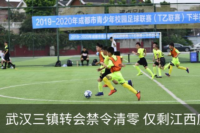 武汉三镇转会禁令清零 仅剩江西庐山还存在转会注册禁令