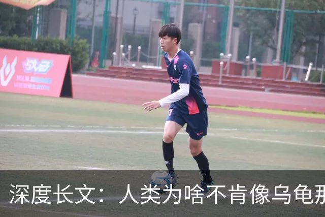 深度长文：人类为啥不肯像乌龟那样吃一顿管好几天？