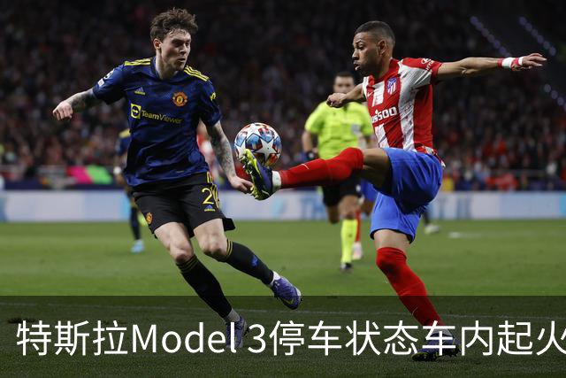 特斯拉Model 3停车状态车内起火 三星手机成怀疑对象