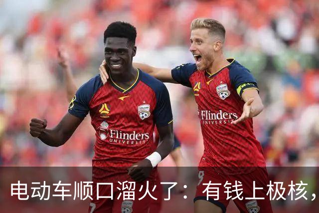 电动车顺口溜火了：有钱上极核，没钱买台铃，其他品牌都一样？