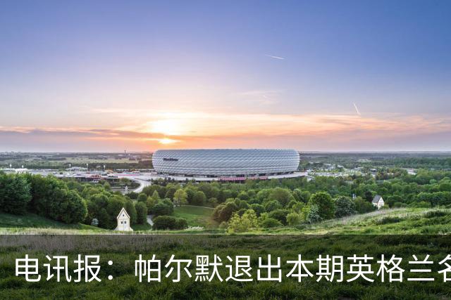 电讯报：帕尔默退出本期英格兰名单，预计接下来还有更多人会退出