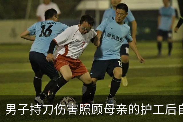 男子持刀伤害照顾母亲的护工后自杀 护工向90多岁老人索赔 法院判赔13万余元