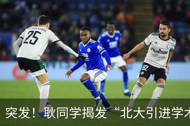 突发！耿同学揭发“北大引进学术造假研究员”