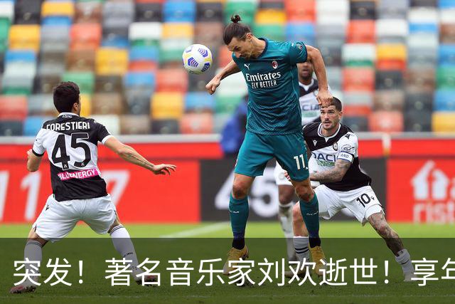 突发！著名音乐家刘欢逝世！享年63岁