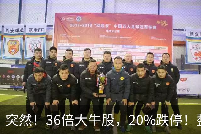 突然！36倍大牛股，20%跌停！整条赛道崩跌，发生了什么？