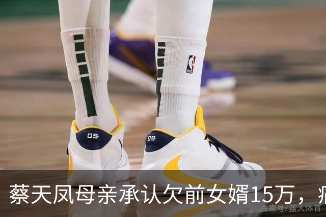 蔡天凤母亲承认欠前女婿15万，痛斥对方没良心，两家账目被曝不清