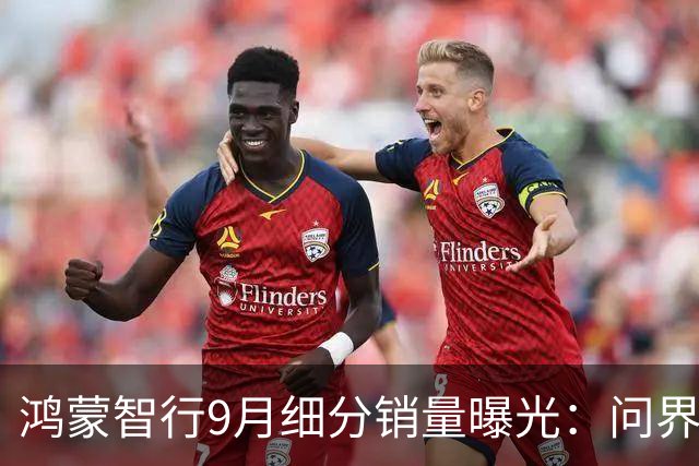 鸿蒙智行9月细分销量曝光：问界M9破万位列第一、尊界V800百万级MPV交付首月就超2000台