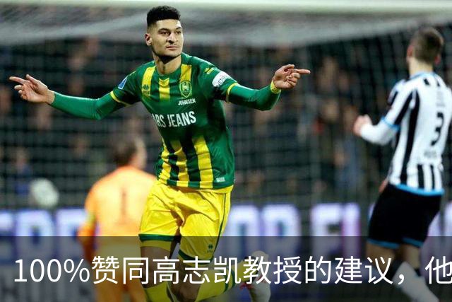 100%赞同高志凯教授的建议，他提议：大陆应该在台湾招募有志青年