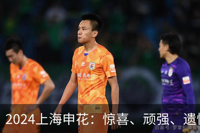2024上海申花：惊喜、顽强、遗憾--明年拿冠军
