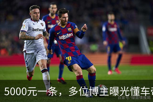 5000元一条，多位博主曝光懂车帝“补刀”尊界黑稿邀约，爆料视频疑遭下架